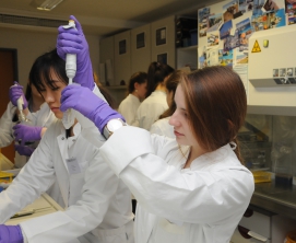 Master Immunologie Laborpraktikum Immunologische Methoden.jpg
